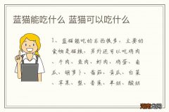 蓝猫能吃什么 蓝猫可以吃什么