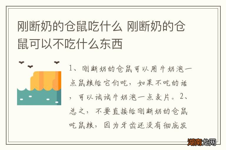 刚断奶的仓鼠吃什么 刚断奶的仓鼠可以不吃什么东西