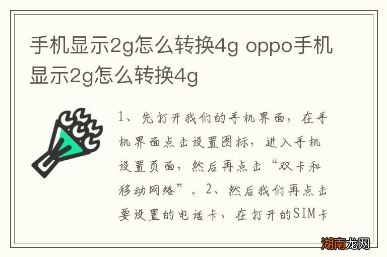手机显示2g怎么转换4g oppo手机显示2g怎么转换4g
