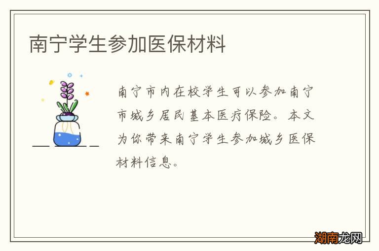 南宁学生参加医保材料