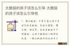 太脆弱的孩子该怎么引导 太脆弱的孩子该怎么引导他