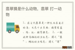 翡翠猜是什么动物，翡翠 打一动物