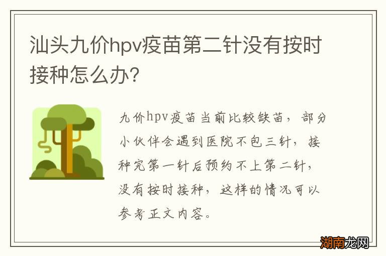 汕头九价hpv疫苗第二针没有按时接种怎么办?