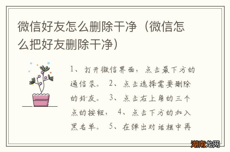 微信怎么把好友删除干净 微信好友怎么删除干净
