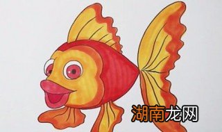 金鱼怎么画 金鱼简笔画教程