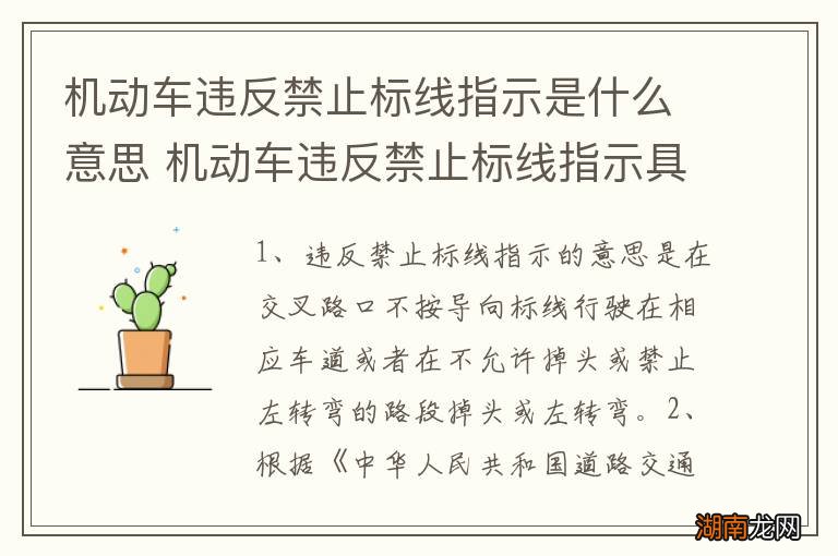 机动车违反禁止标线指示是什么意思 机动车违反禁止标线指示具体是什么意思