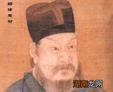 耶律楚材对元朝的建立做出了哪些贡献？他的做法正确吗？