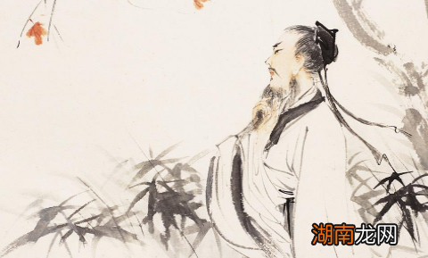 古代的那些文学大家是如何评价李白的呢？