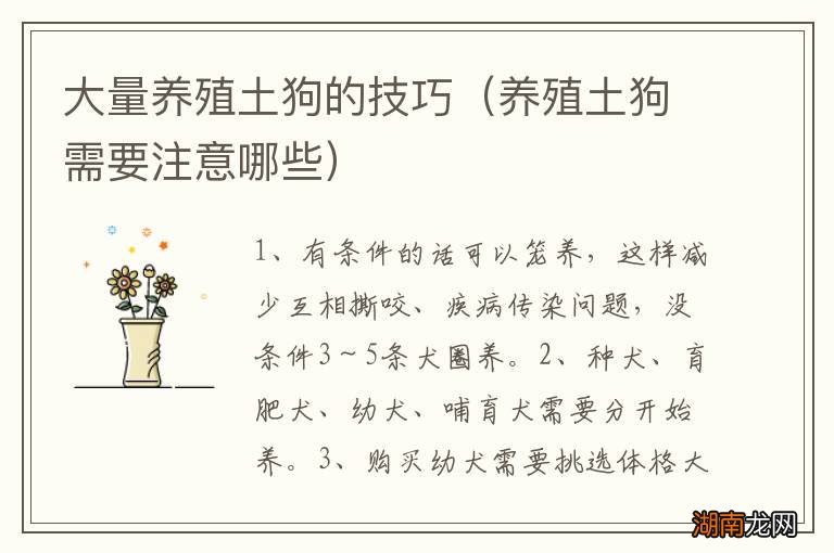 养殖土狗需要注意哪些 大量养殖土狗的技巧