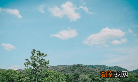 在文学上有非凡成就的欧阳修,他真的创作过艳词吗?