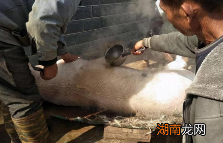 梳洗刑是一种怎么样的刑罚?朱元璋为什么要发明这个刑罚?