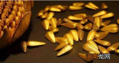 古代皇帝打赏给妃子的&amp;ldquo;金瓜子&amp;rdquo;有什么用途？