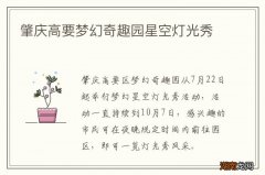 肇庆高要梦幻奇趣园星空灯光秀