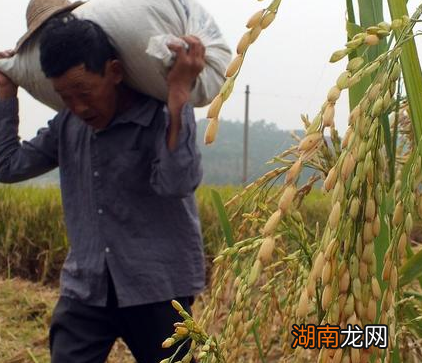 古代驿站只是方便交通那么简单吗 除了交通外还有一个原因存在