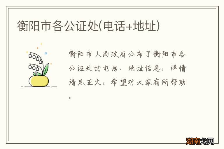 电话+地址 衡阳市各公证处