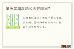 肇庆星湖湿地公园在哪里？