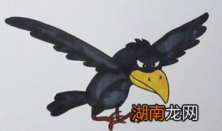 乌鸦怎么画 乌鸦简笔画教程