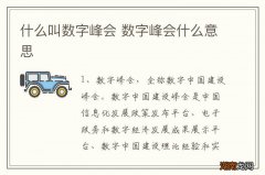 什么叫数字峰会 数字峰会什么意思