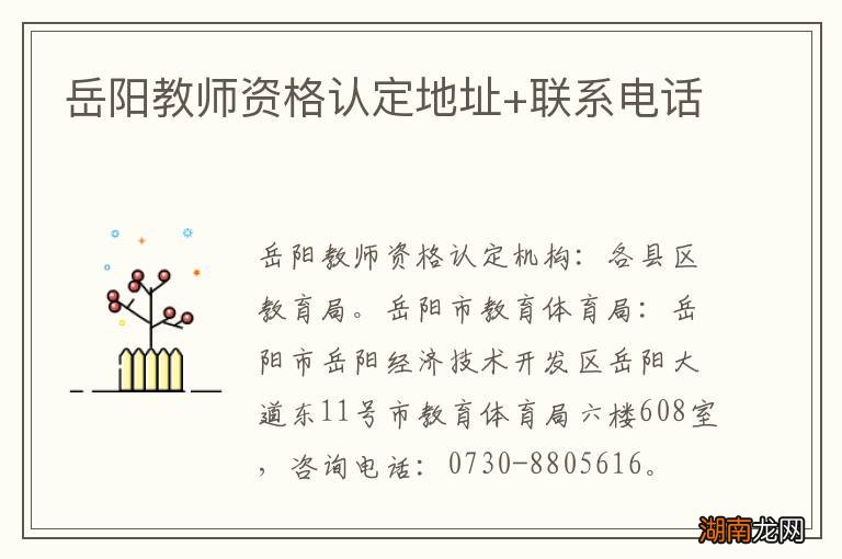 岳阳教师资格认定地址+联系电话
