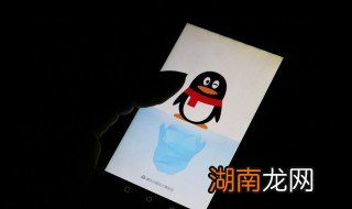 qq群怎么禁言单个成员 qq群怎么禁言单个成员管理员