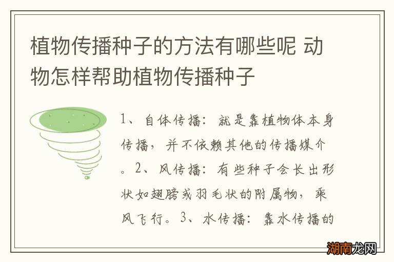 植物传播种子的方法有哪些呢 动物怎样帮助植物传播种子