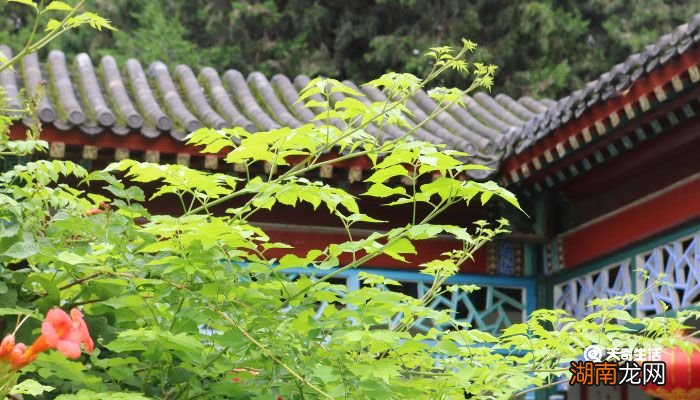 松江是哪里 松江是哪里位置