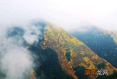 刘伯温斩龙脉是真的假的 该故事的前因后果又是什么样的