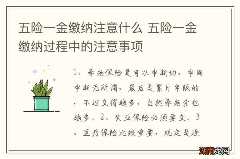 五险一金缴纳注意什么 五险一金缴纳过程中的注意事项