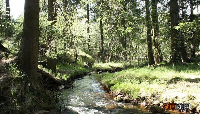 亚洲热带季风气候特点 亚热带季风气候形成机制