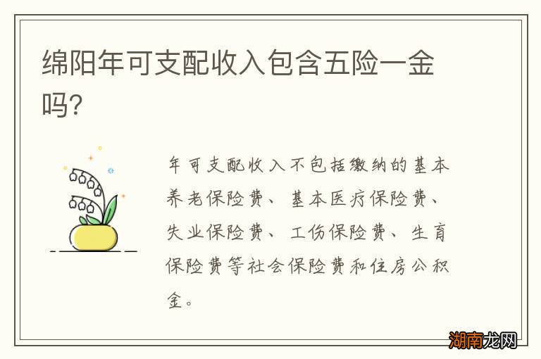绵阳年可支配收入包含五险一金吗？
