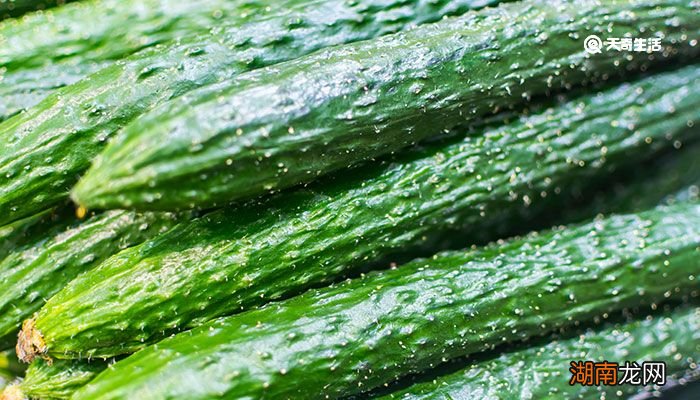 咸菜是什么菜做的 咸菜由什么菜做