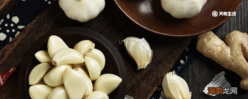 蒜怎么保存不坏,蒜怎么保存不易坏