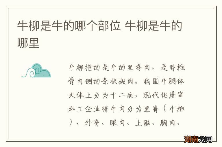 牛柳是牛的哪个部位 牛柳是牛的哪里
