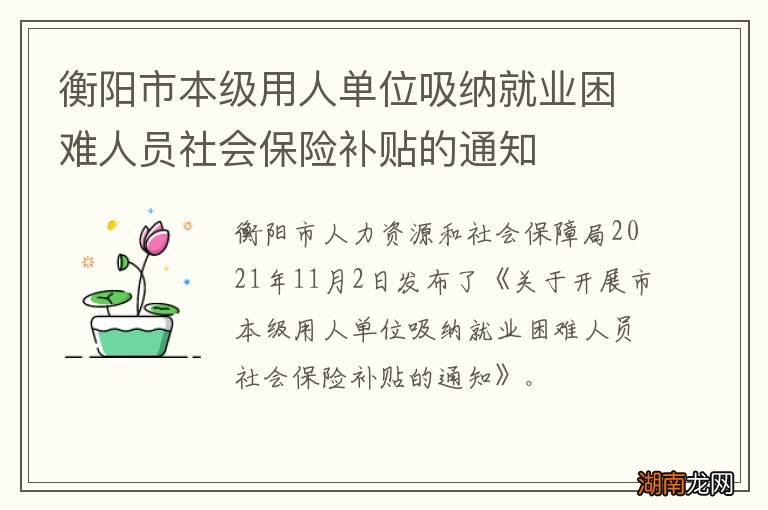 衡阳市本级用人单位吸纳就业困难人员社会保险补贴的通知