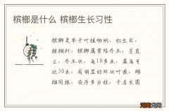 槟榔是什么 槟榔生长习性