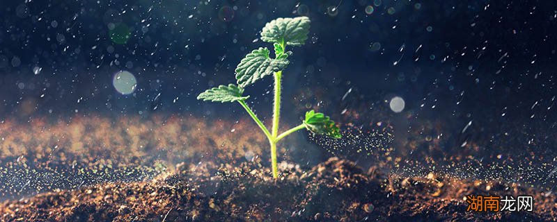 酸雨怎么形成的 我国三大酸雨区分别为