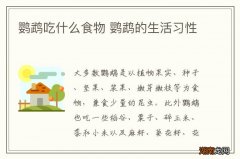 鹦鹉吃什么食物 鹦鹉的生活习性