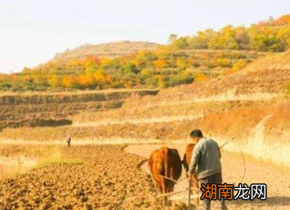 古代穷人为什么不去开荒而是给地主打工 自己自足自给不是更好吗