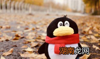 充了qq会员怎么退款 qq会员怎么退款