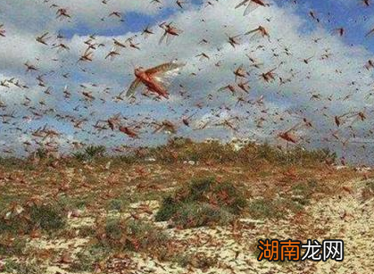 上山不捡肉,下河不捡鱼是什么意思 古人天灾为什么不上山下河