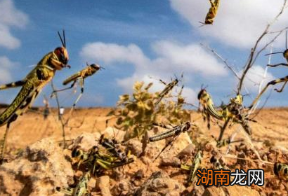 上山不捡肉,下河不捡鱼是什么意思 古人天灾为什么不上山下河