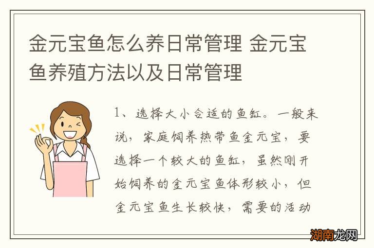 金元宝鱼怎么养日常管理 金元宝鱼养殖方法以及日常管理
