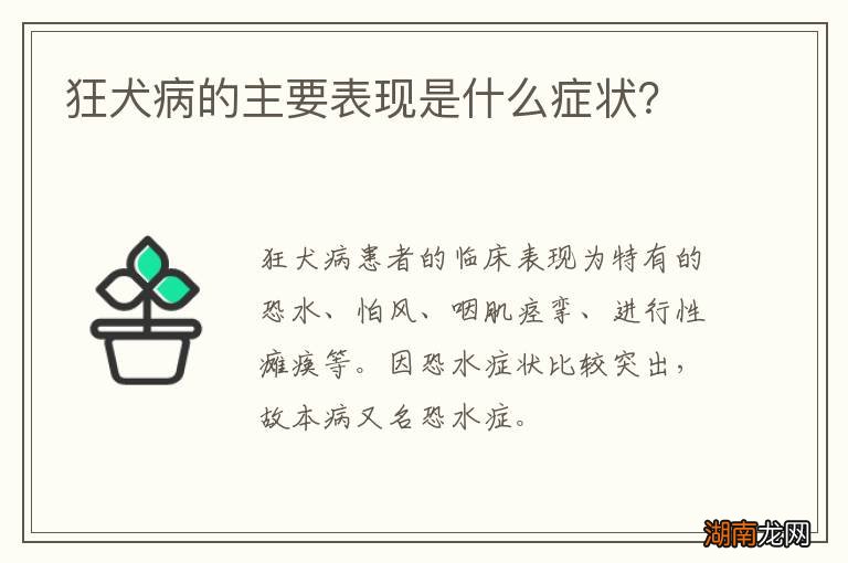 狂犬病的主要表现是什么症状？