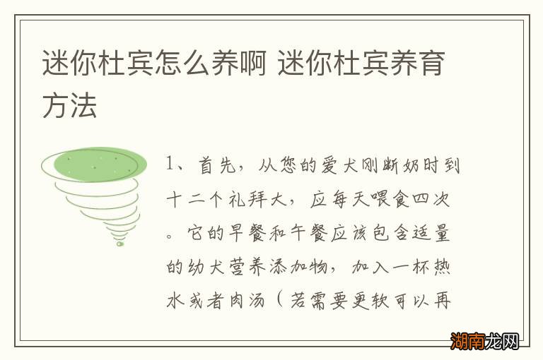 迷你杜宾怎么养啊 迷你杜宾养育方法