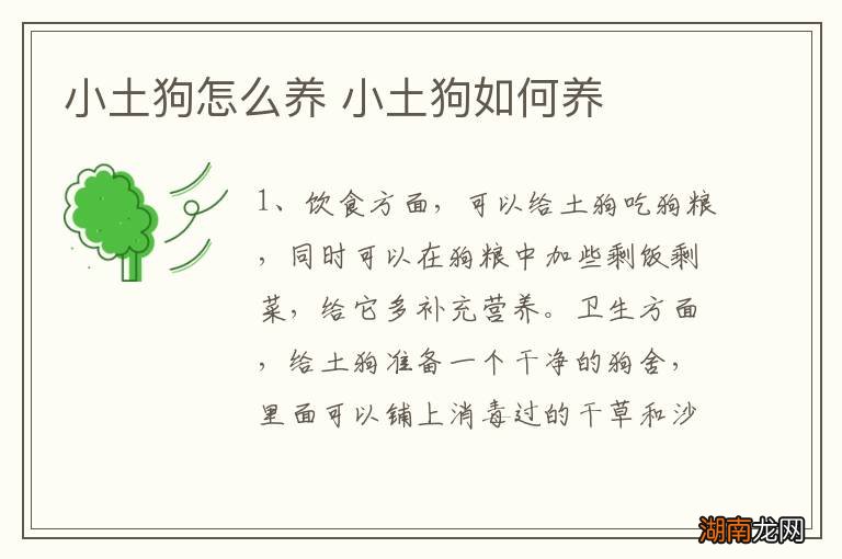 小土狗怎么养 小土狗如何养