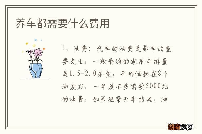 养车都需要什么费用