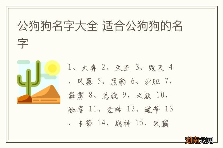 公狗狗名字大全 适合公狗狗的名字