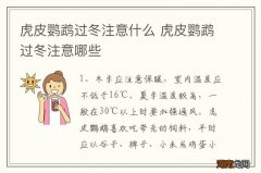 虎皮鹦鹉过冬注意什么 虎皮鹦鹉过冬注意哪些