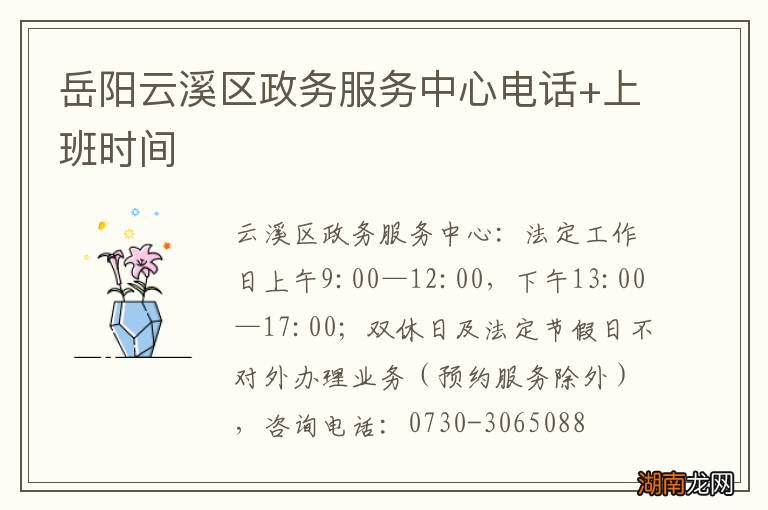 岳阳云溪区政务服务中心电话+上班时间