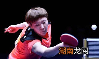 王曼昱个人资料介绍 关于王曼昱的简介